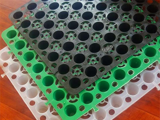 1 (11)